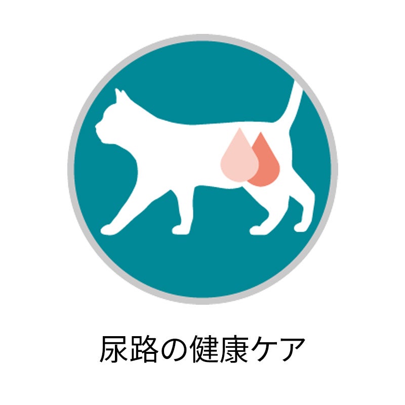 美味を求める成猫用 1歳以上 サーモン&ツナ - ピュリナ ワン キャット